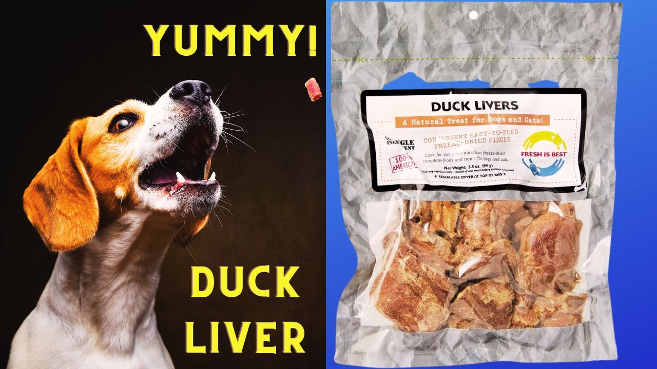 Quacktastic Treats for Your Furry Friend! FreezeDried Duck Liver Dog