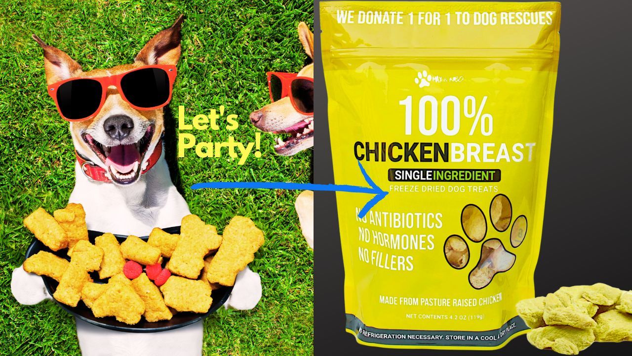 What Are the Top 4 Brands for Freeze Dried Chicken Dog Treats? Find Out
