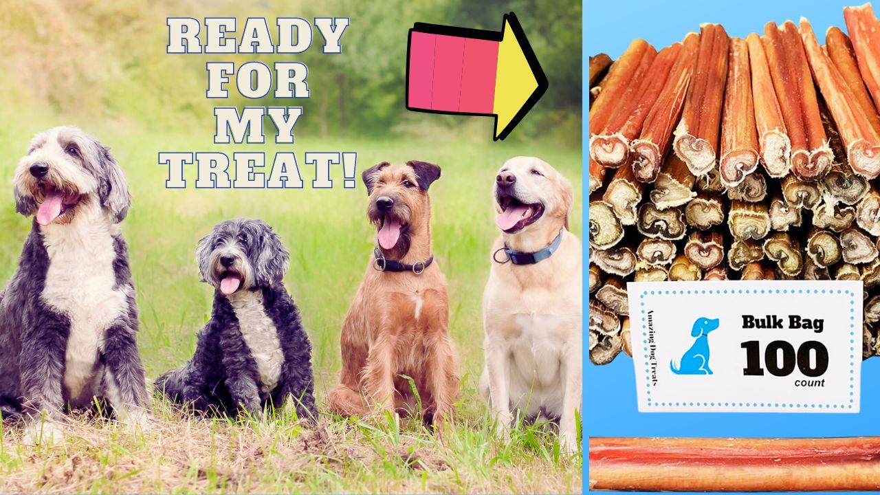 For the Love of Dogs a Bulk Bully Stick Raw Master