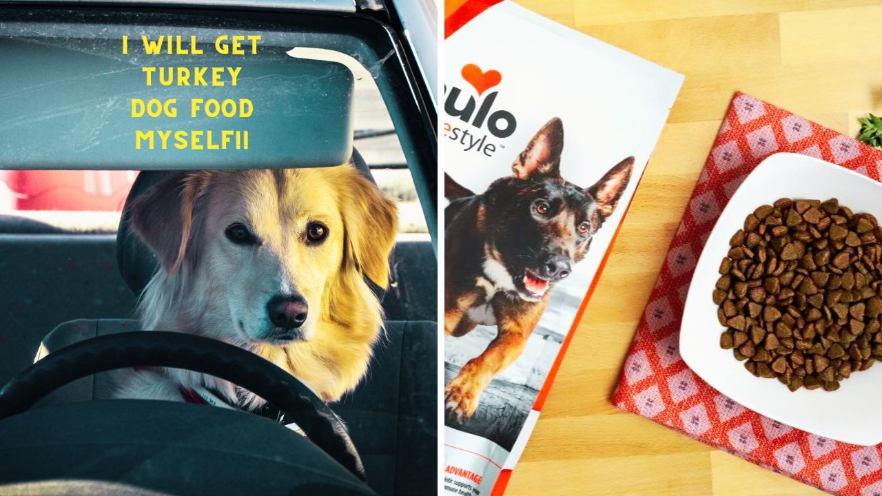 Can't Decide On Dog Food Flavors? Turkey For Dog Food Is The Answer!