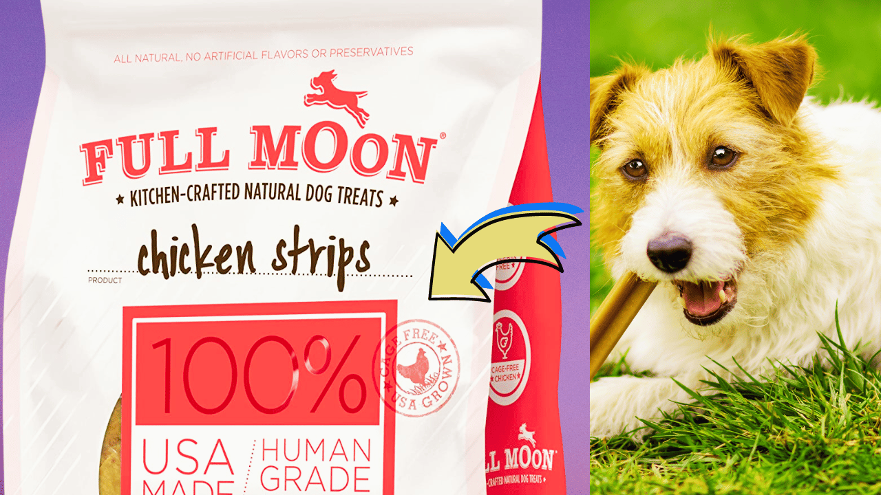 6 MustTry Raw Dog Treats Made In The USA That Are Rawtastic!