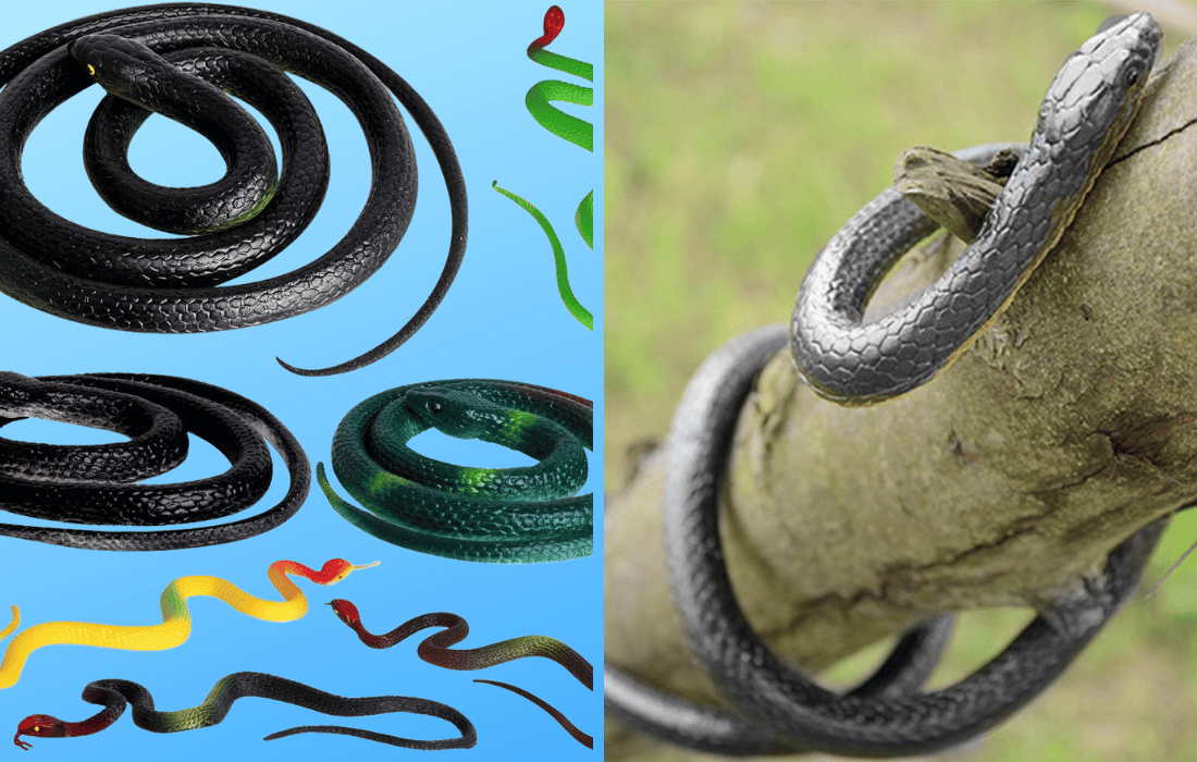 The 5 Best Fake Snakes to Fool Your Friends and Fend Off Garden Pests!