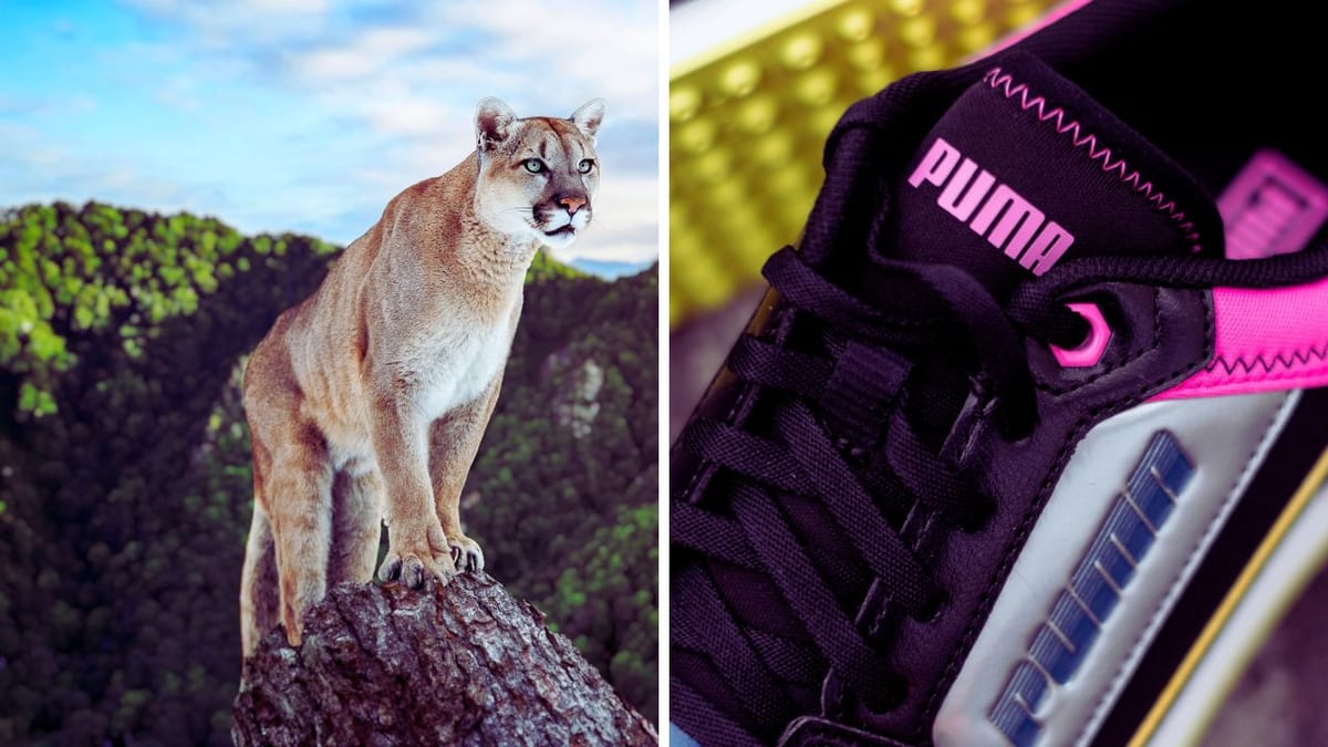 puma high top golf shoes