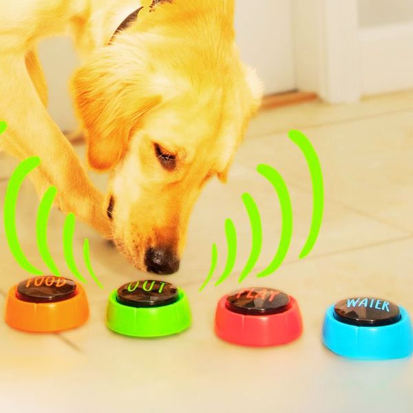 Speak Fido, Speak! A Pawsome Guide to Teaching Dogs to Talk Using Buttons